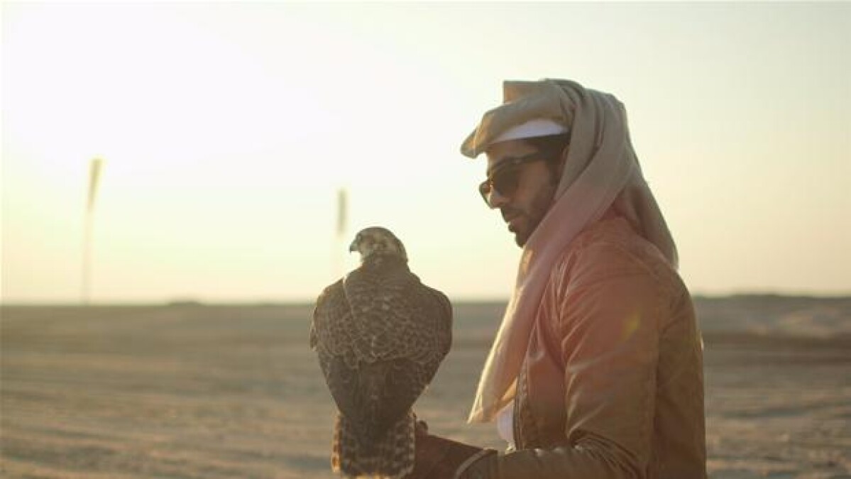 job acceleration Ny mening DR i Qatar: Beduiners jagtfalke er blevet til dyr hobby | Udland | DR