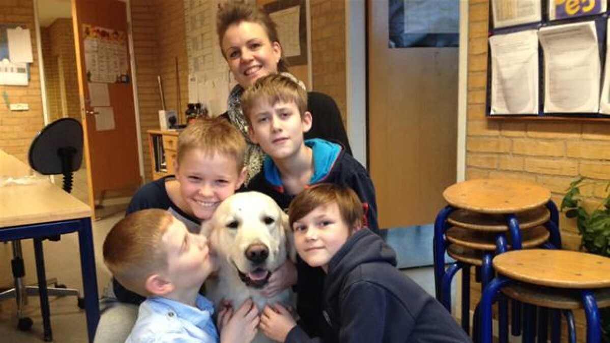 Skolehunden Thomas giver ro klassen | Midt- og Vestjylland | DR