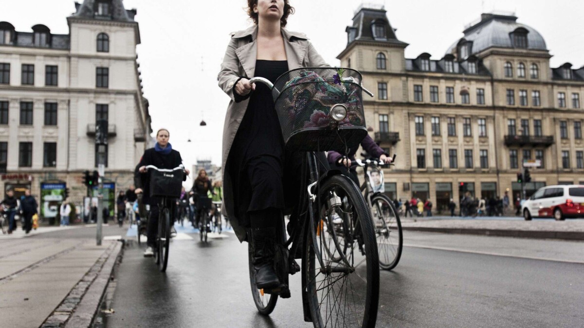 Ny blandt Hugger fra cykelkurven, holder for rødt | København | DR