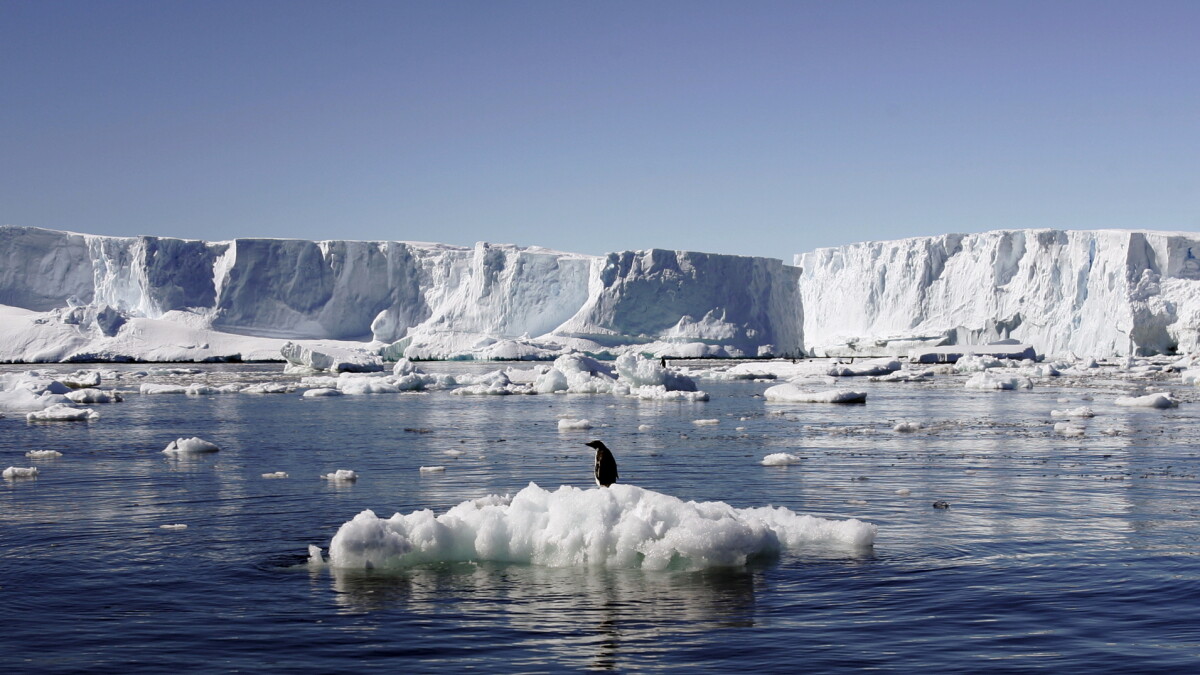sofa svag hagl Ny rapport: Antarktis afsmeltning er tredoblet | Klima | DR
