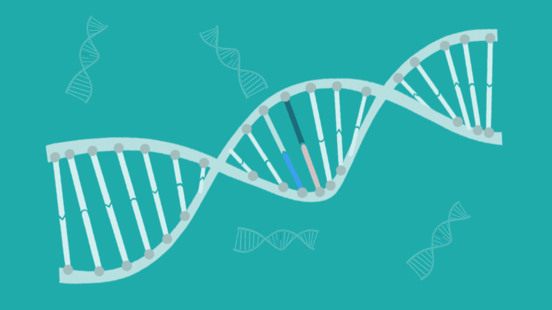 Kæmpe DNA-database: kan en din hårfarve | Kroppen | DR