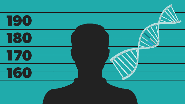 Pensioneret klart Derbeville test Hårfarve, højde og hagekløft: Fem ting, DNA kan afsløre i fremtiden |  Teknologi | DR