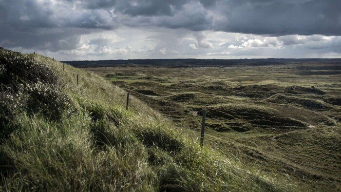 Nationalpark Thy møder kritik på sin fødselsdag: Parkerne har naturen | Midt- Vestjylland |