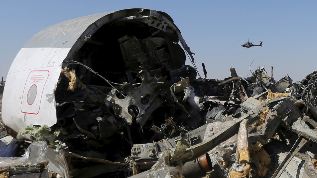 Dømt australsk terrorist: Basil bag bombe på russisk fly | Indland | DR