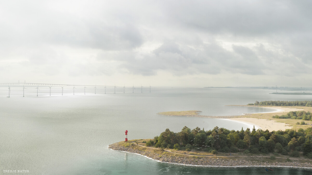 Kompatibel med Nyttig Mathis Kæmpe ø ud for København har vokseværk: Skov og strand skal sikre mod  stormflod i fremtiden | København | DR