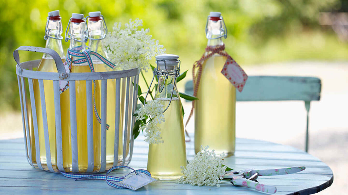 https%3A%2F%2Fwww.dr.dk%2Fimages%2Fother%2F2023%2F07%2F07%2Fhyldeblomstsaft-det-sode-liv-mette-blomsterberg /upload/thumbnail1/2025/2/23/190538/thumb2