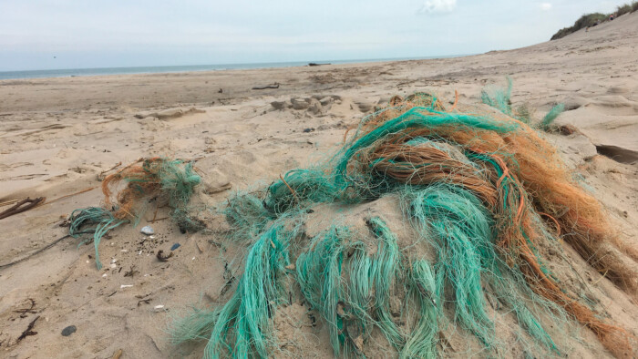 Spøgelsesnet slår sæler, fisk og fugle ihjel: Nu fritidsfiskere mistede | Nordjylland | DR