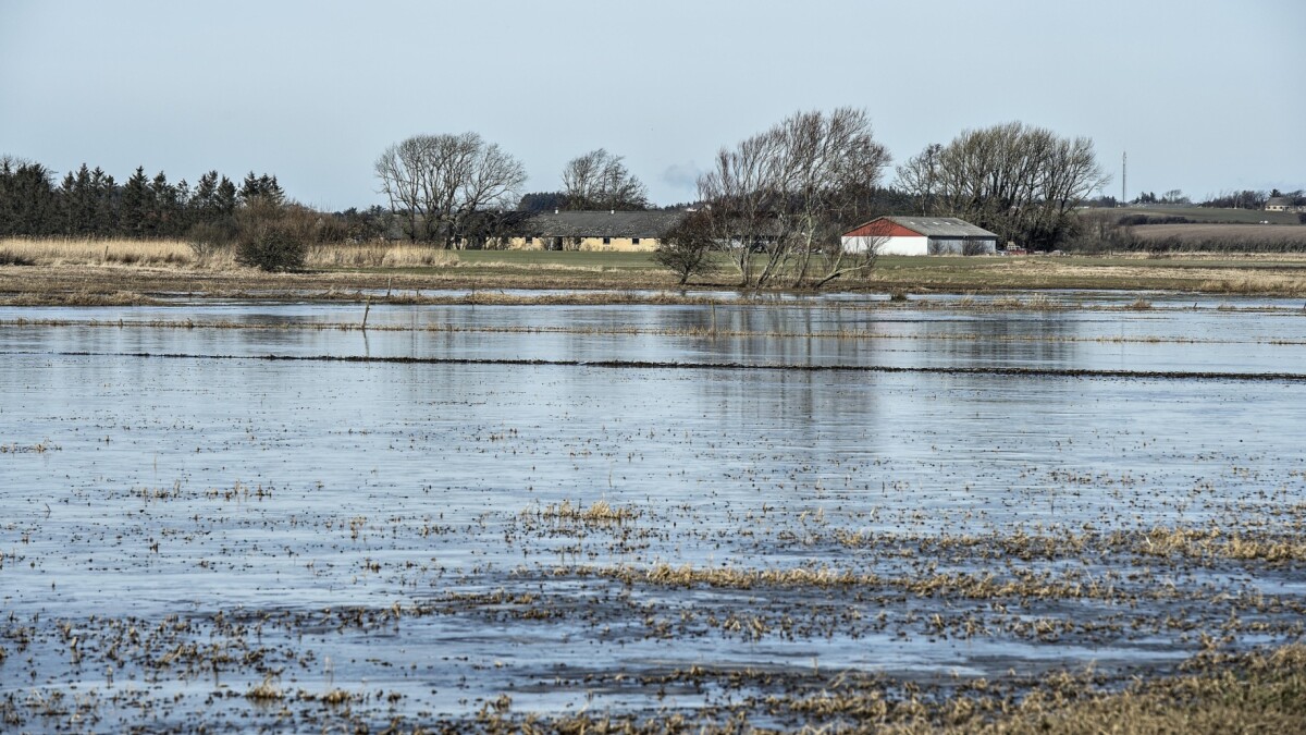 Regnefejl Afsløret: Landbruget Belaster Klimaet Langt Mere End Hidtil ...