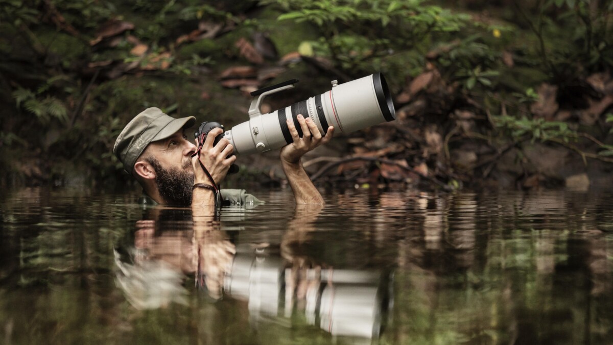 Danske fotografer mistede næsten livet i jagten på sjældne dyr: Se