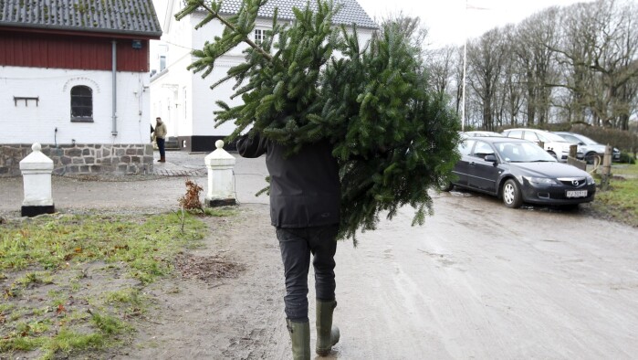 Ekspert Kommunalt Og Regionalt Ansatte Kan Vinke Farvel Til Fri 